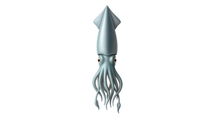 Isolated Squid