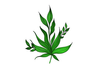 Vibrant Green Leaf Arrangement: Hand-Drawn Botanical Illustration of Lush Foliage with Detailed Veins, Perfect for Natural, Organic, and Fresh Designs