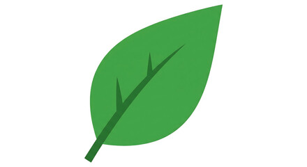 Simple green leaf illustration vector style isolated on white background
