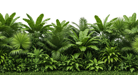 Obraz premium Lush tropical foliage backdrop isolated on transparent background