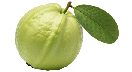 Isolated Guava Fruit
