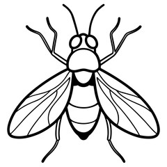 Fruit fly icon line airt vactor outline Illustrations on white background.