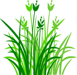 vector, Green grass and wildflowers in minimalist vector design  