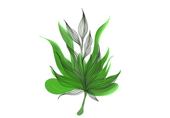 Intricate Line Art and Abstract Green Shapes: A Hand-Drawn Botanical Illustration Fusing Detailed Leaf Outlines with a Soft, Organic Watercolor Background for a Modern Nature-Inspired Aesthetic