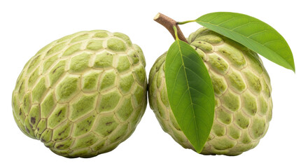 Obraz premium Isolated sweetsop fruit