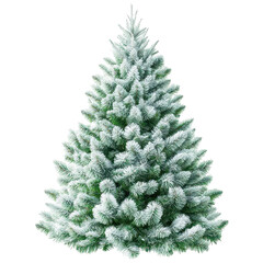 Fototapeta premium Frosted Christmas tree isolated on a black background. Ideal for holiday designs.