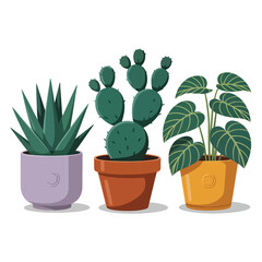 Fototapeta premium A collection of various cute houseplants in colorful pots, including a cactus, succulent, and monstera plant vector illustration