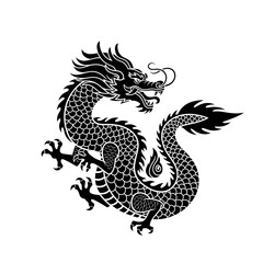 black and white dragon