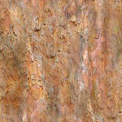 The Seamless Pine Bark Texture