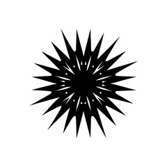 Fototapeta premium black silhouette of a firework exploding in a star