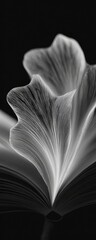 Abstract grayscale image of open book, with delicate, flowing, leaf-like forms
