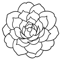 Obraz premium Peony Flower Mandala Outline Drawing for Coloring