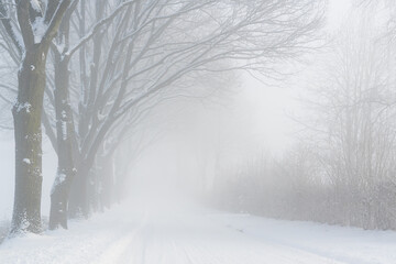 snow in the netherlands