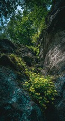 Lush greenery thrives amidst craggy rock formations