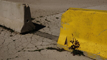 roadblock jersey cement barrier on asphalt background