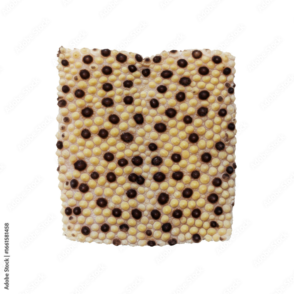 Poster uhd macro of leopard gecko skin, spotted pattern, bumpy texture, scales, top-down on transparent bac