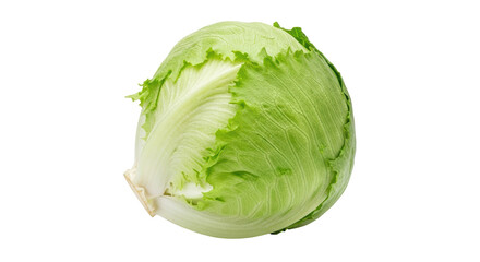 Isolated iceberg lettuce