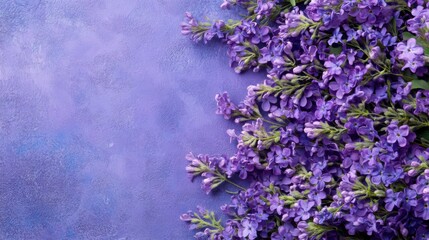 Obraz premium Elegant floral layout featuring vibrant purple blossoms against a textured backdrop