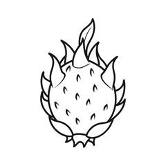 Simple black and white line drawing of a dragon fruit