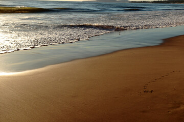 A piece of sandy beach at sunset. A foaming wave runs over the sand