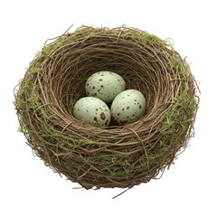 Obraz premium Meticulously detailed bird's nest of twigs, grass, moss, cradling three camouflaged avian eggs, on transparent studio background, concept of natural camouflage
