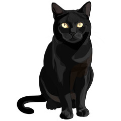 Black Cat Vector Illustration