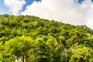 Paisaje en Covadonga, Asturias, España.