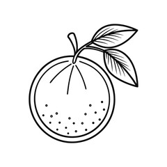 Simple hand drawn black and white illustration of a citrus fruit with leaves