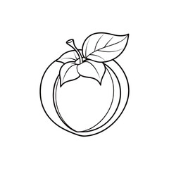 Simple outline drawing of a persimmon fruit with leaves and stem
