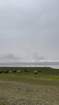 Kirgistan  g&oacute;ry