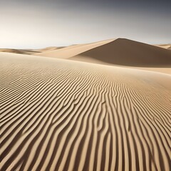 Minimalist Desert Landscape Scenes