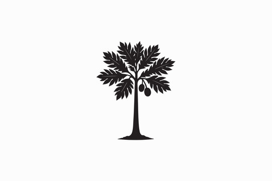 A Breadfruit growth tree vector silhouettes black image made by adobe illustrator  .eps