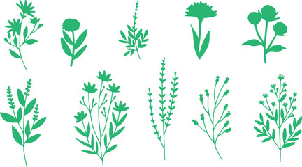 Herb illustration vector, parsley artwork design, dill plant sketch, thyme leaf artwork, mint drawing silhouette, culinary herb vector, green plant artwork, herbal design isolated, parsley sketch vect
