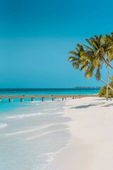 tropical beach with palm trees