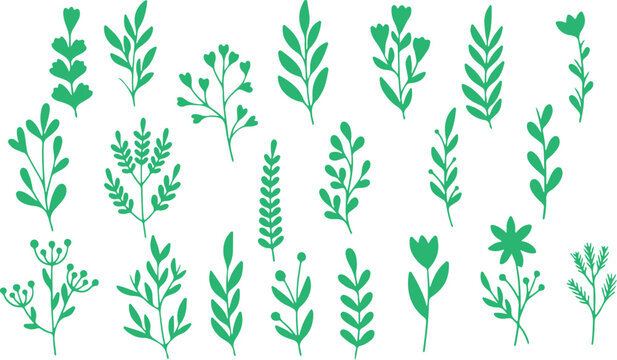 Herb illustration vector, parsley silhouette artwork, mint sketch drawing, thyme leaf clipart, herbal plant artwork design, culinary herbs sketch vector, green leaves isolated, parsley black artwork, 