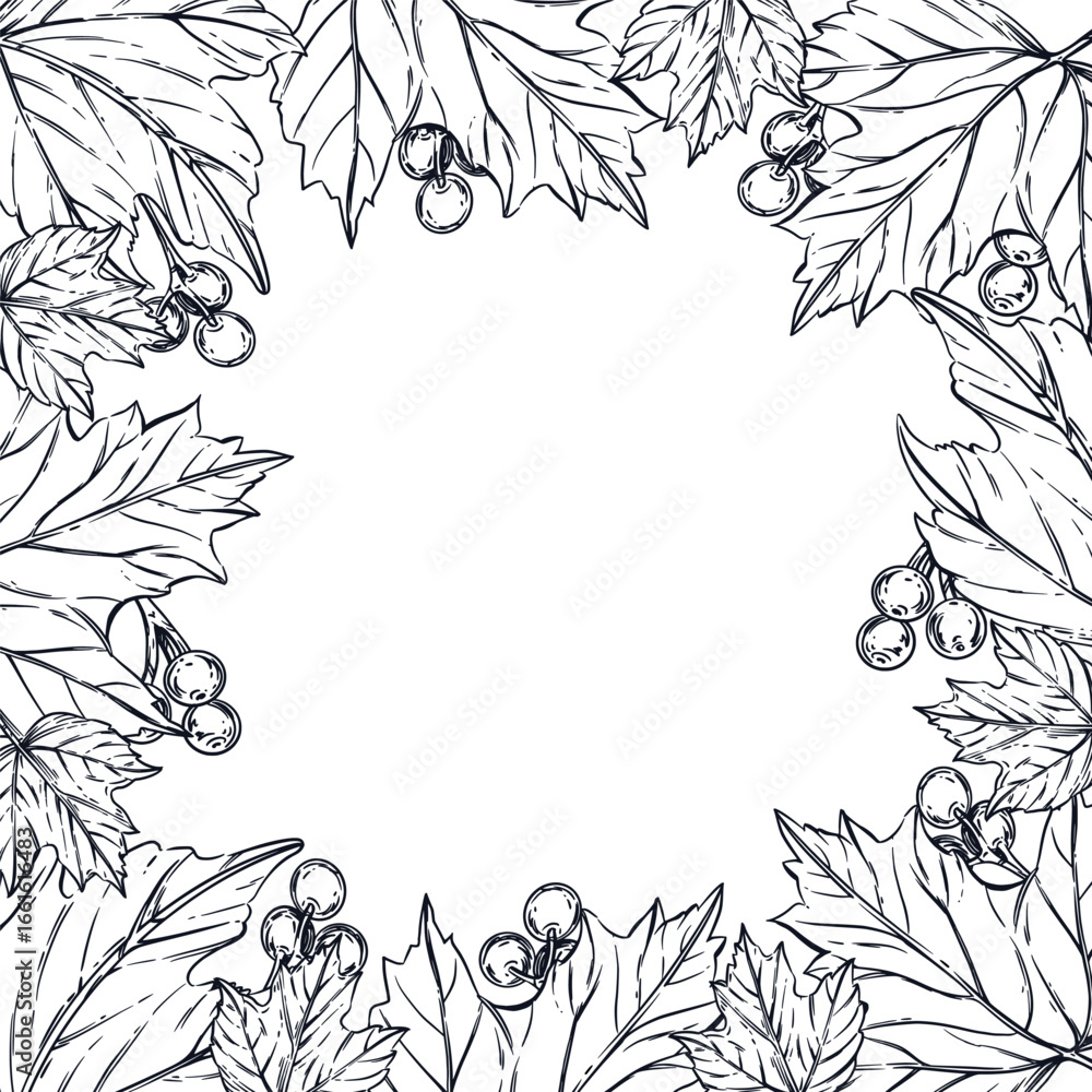 Poster a square frame made of leaves of viburnum shrubs, viburnum berries. all objects are hand-drawn in in
