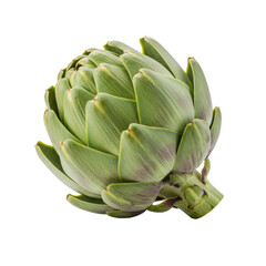 Obraz premium A single, fresh, vibrant green artichoke with subtle purple hints and tightly packed, thorny leaves, isolated on a seamless transparent background, precise studio product concept