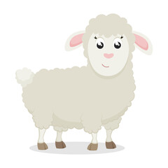 Cute sheep on white background. Vector illustration in flat style.