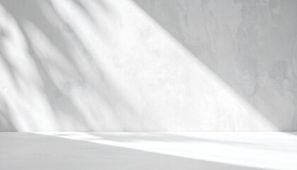 Clean minimalist interior with a gray concrete wall and floor, illuminated by natural sunlight casting abstract organic shadows from foliage