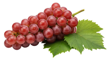 Isolated Red Grapes Bunch