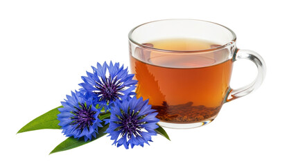 Isolated Cup of Cornflower Tea with Flowers