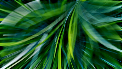 Obraz premium Dynamic green abstract motion background with natural elements for sustainable business and eco-friendly branding