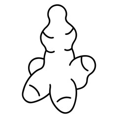 ginger-root-outline.