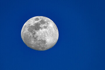 Early evening moonrise of a waxing gibbous moon.