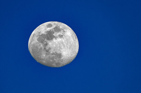 Early evening moonrise of a waxing gibbous moon.