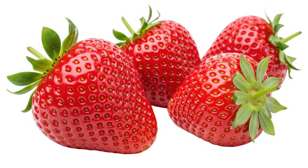 Isolated Group of Fresh Red Strawberries
