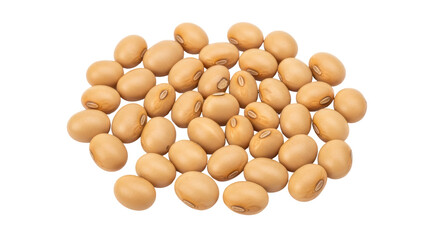 Isolated Pile of Soybeans