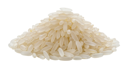 Isolated Pile of Rice