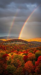 Obraz premium Majestic double rainbow illuminates autumn forest canopy