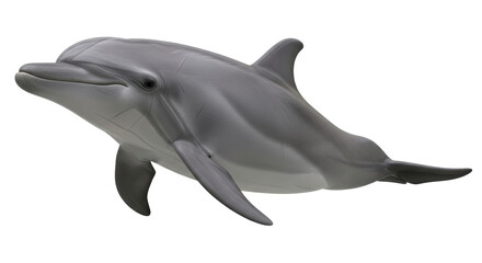 Isolated Dolphin © Rowan